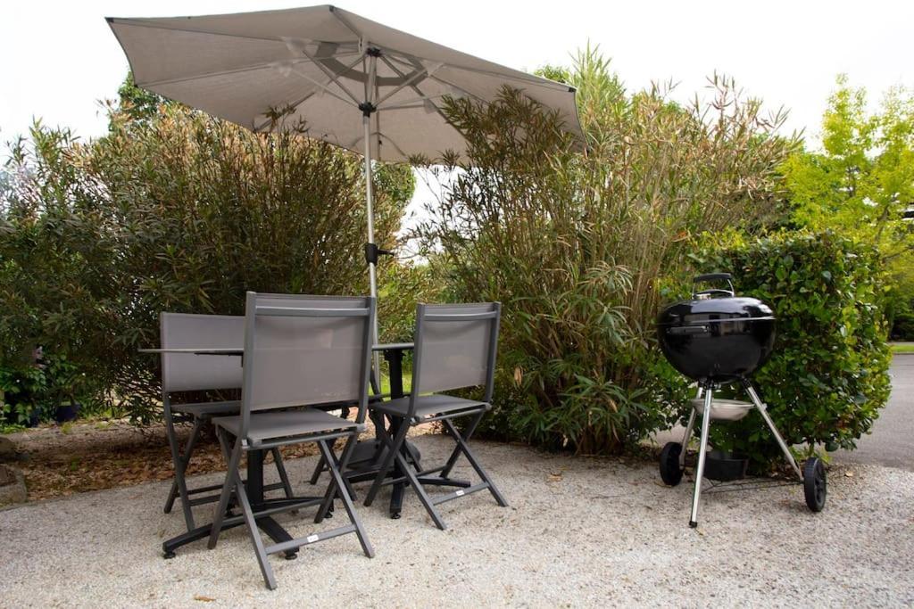 La Melanotte Bed and Breakfast Toulouse Eksteriør billede